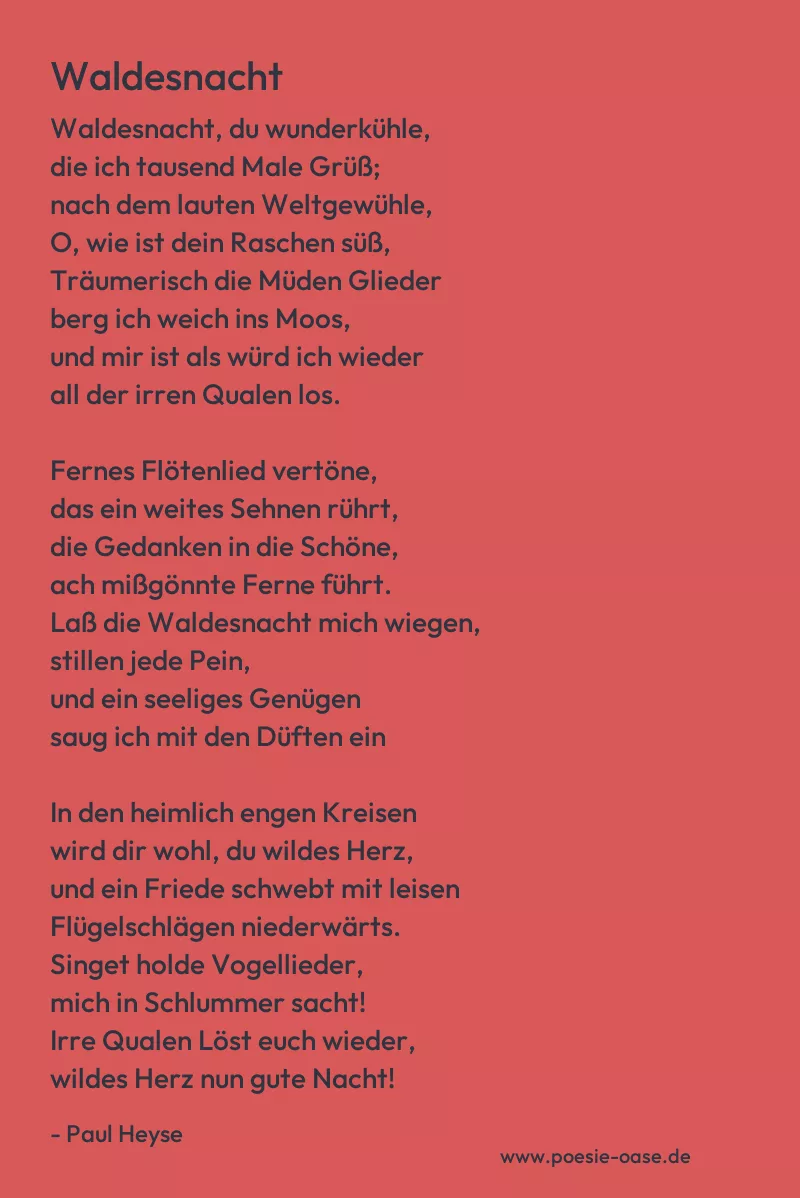 Gedicht: Waldesnacht von Paul Heyse