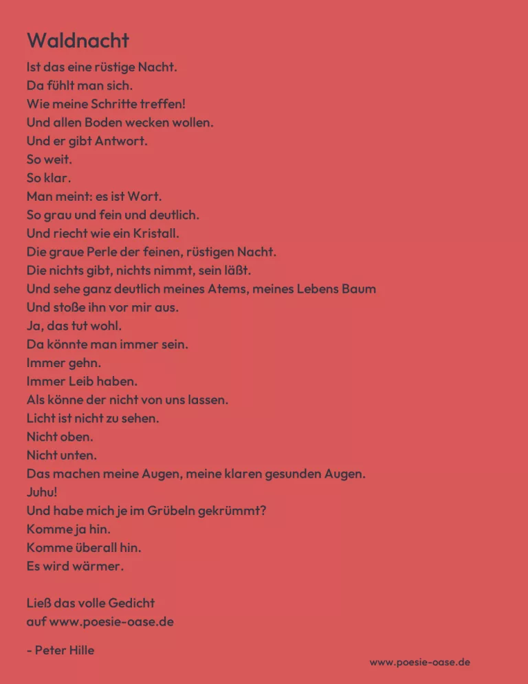 Waldnacht