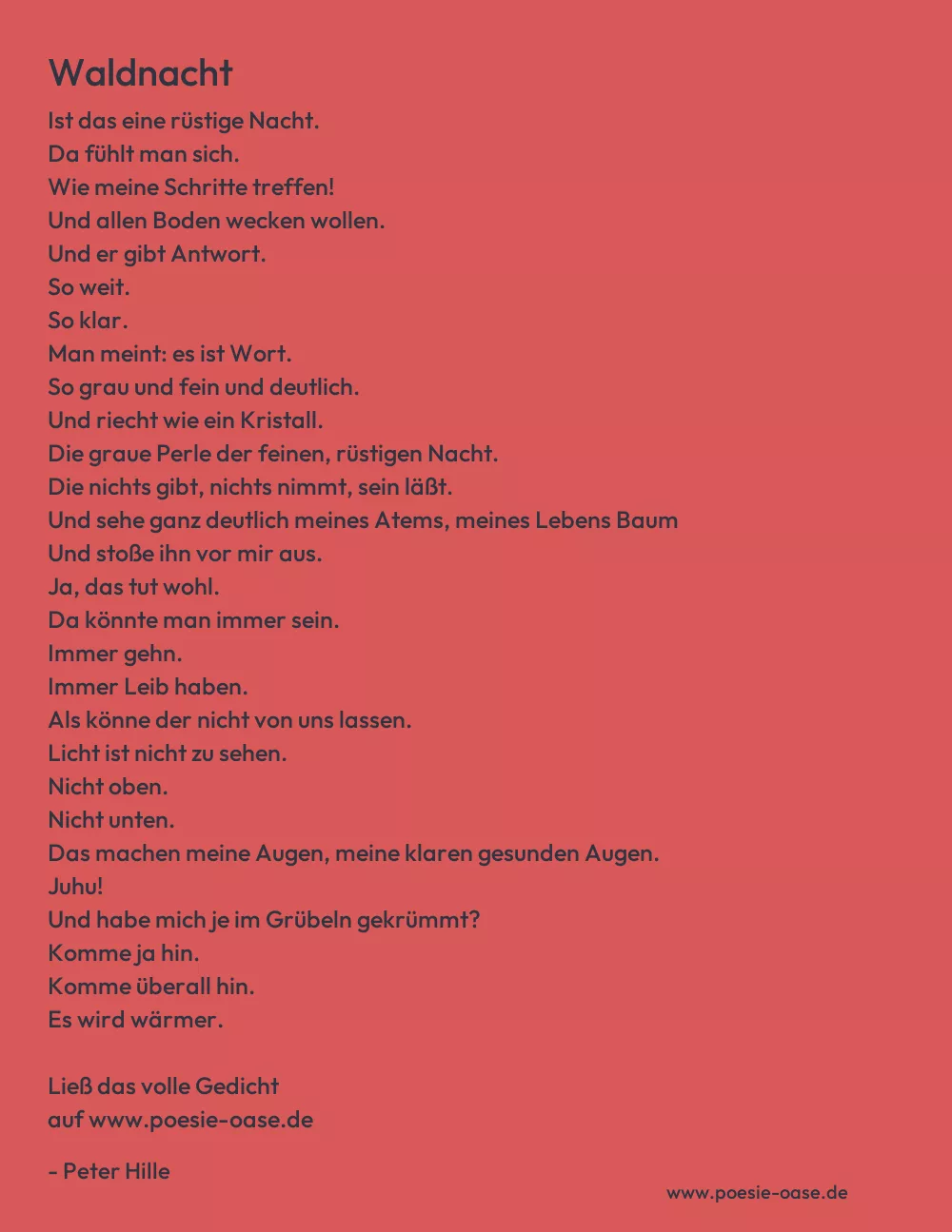Gedicht: Waldnacht von Peter Hille