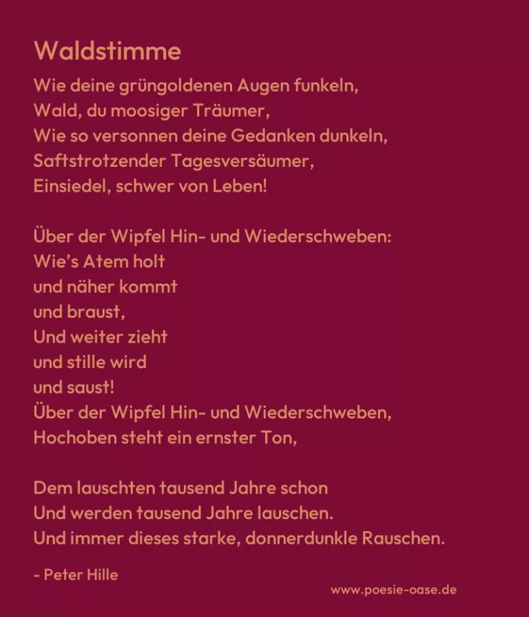 Waldstimme
