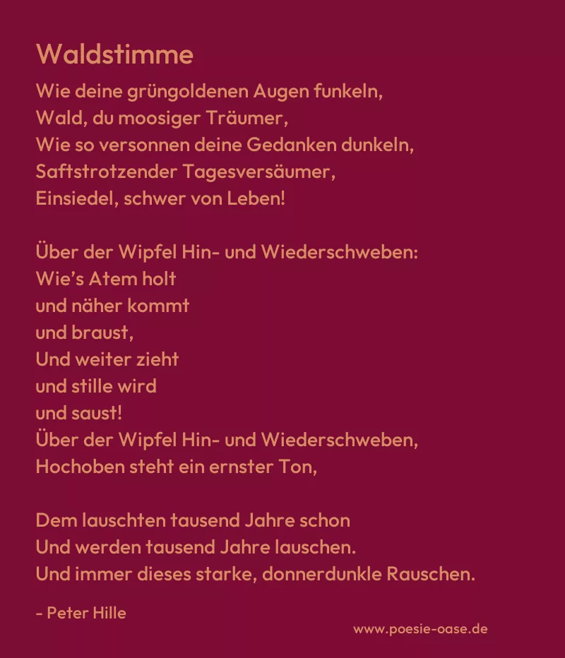 Gedicht: Waldstimme von Peter Hille