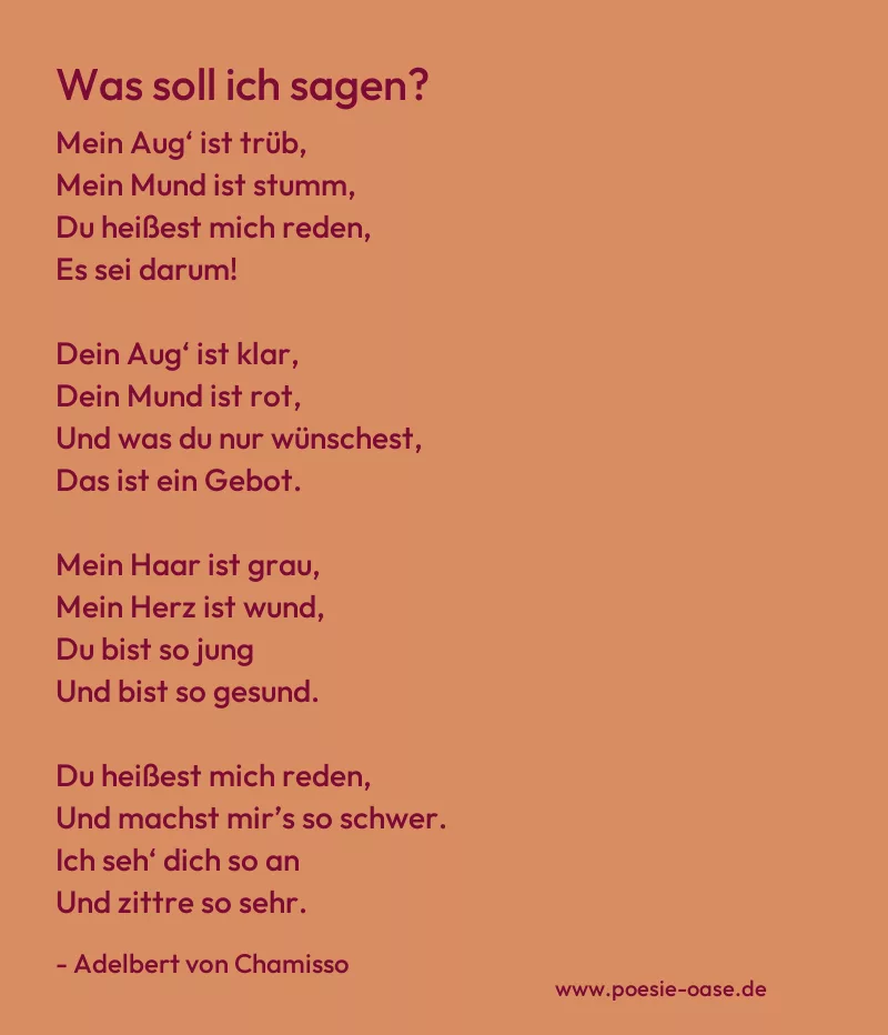 Gedicht: Was soll ich sagen? von Adelbert von Chamisso