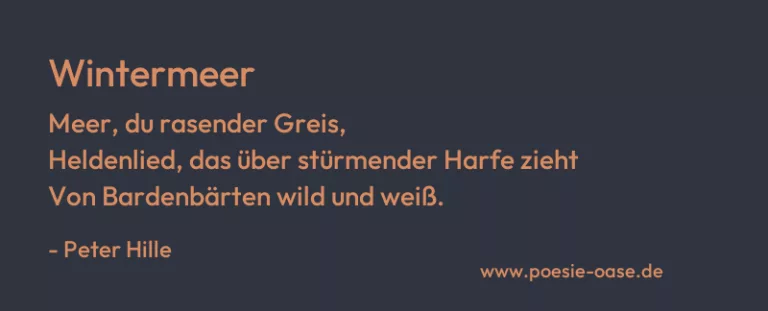 Wintermeer
