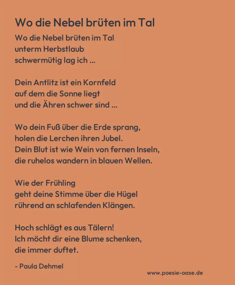 Wo die Nebel brüten im Tal