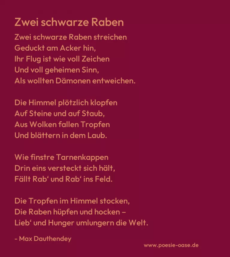 Zwei schwarze Raben