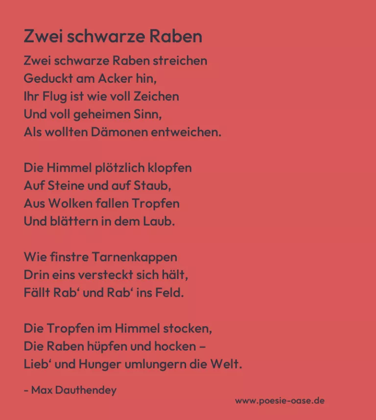 Zwei schwarze Raben