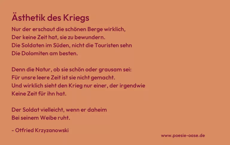 Ästhetik des Kriegs