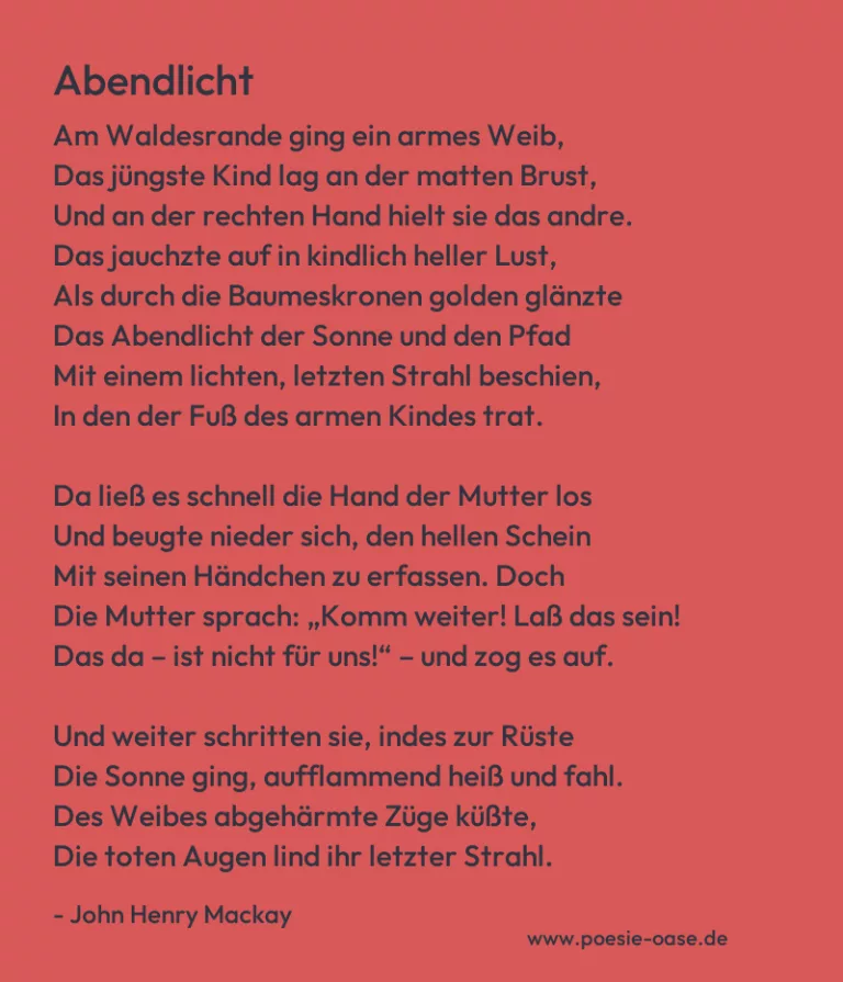 Abendlicht