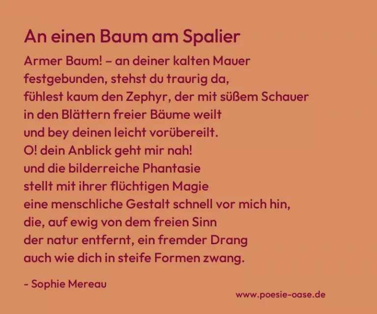 An einen Baum am Spalier