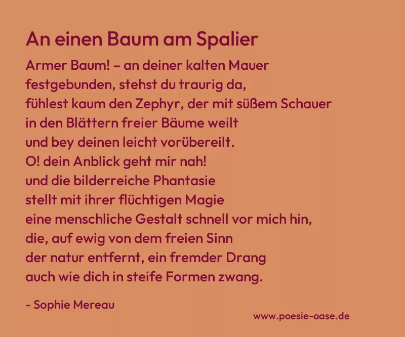 Gedicht: An einen Baum am Spalier von Sophie Mereau