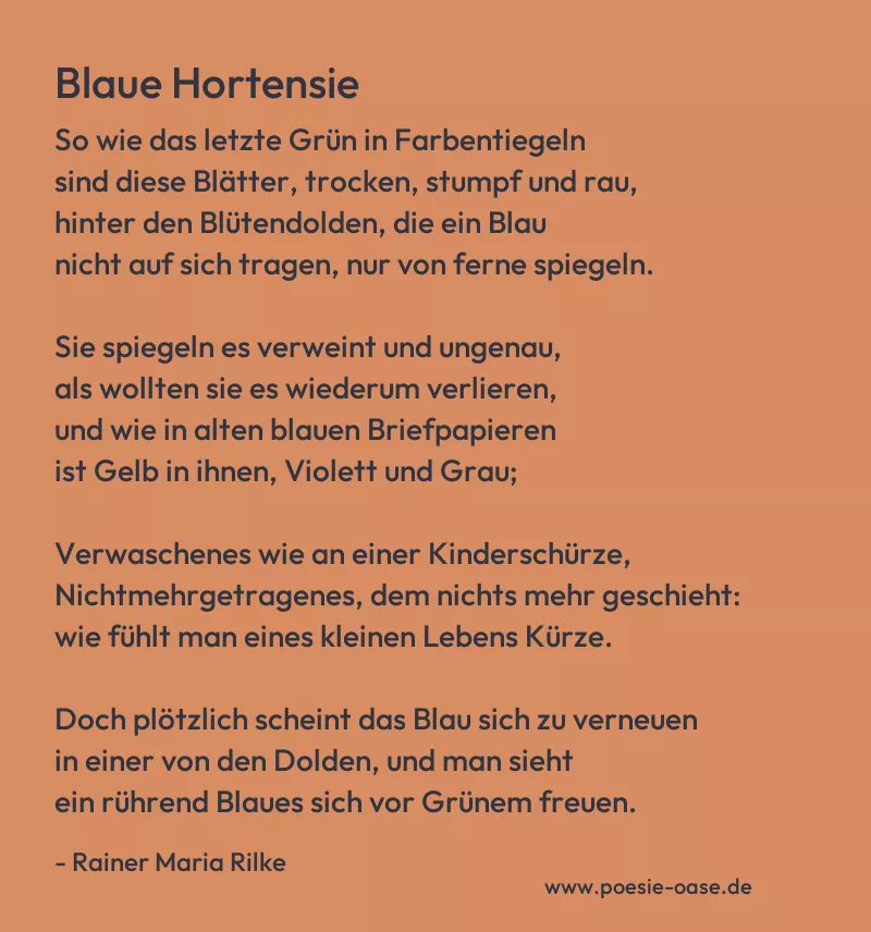 Gedicht: Blaue Hortensie von Rainer Maria Rilke