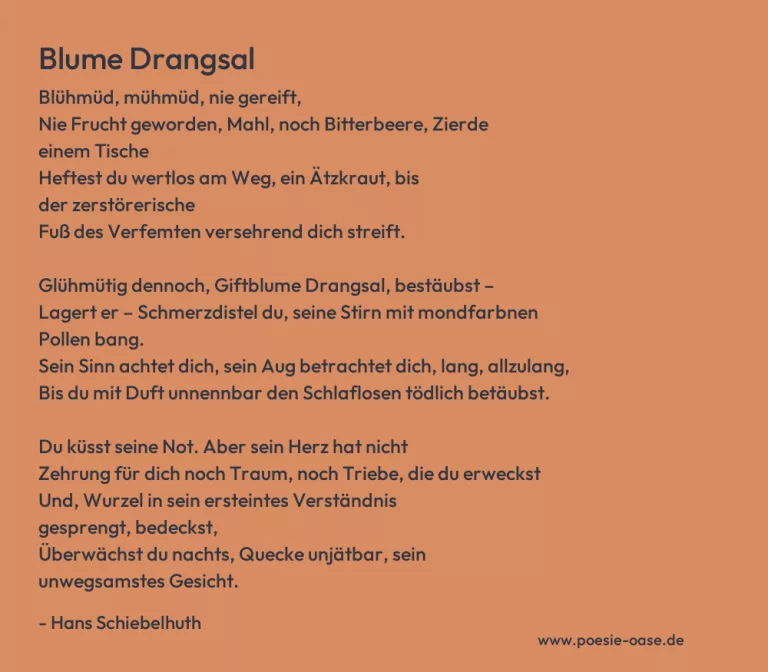 Blume Drangsal