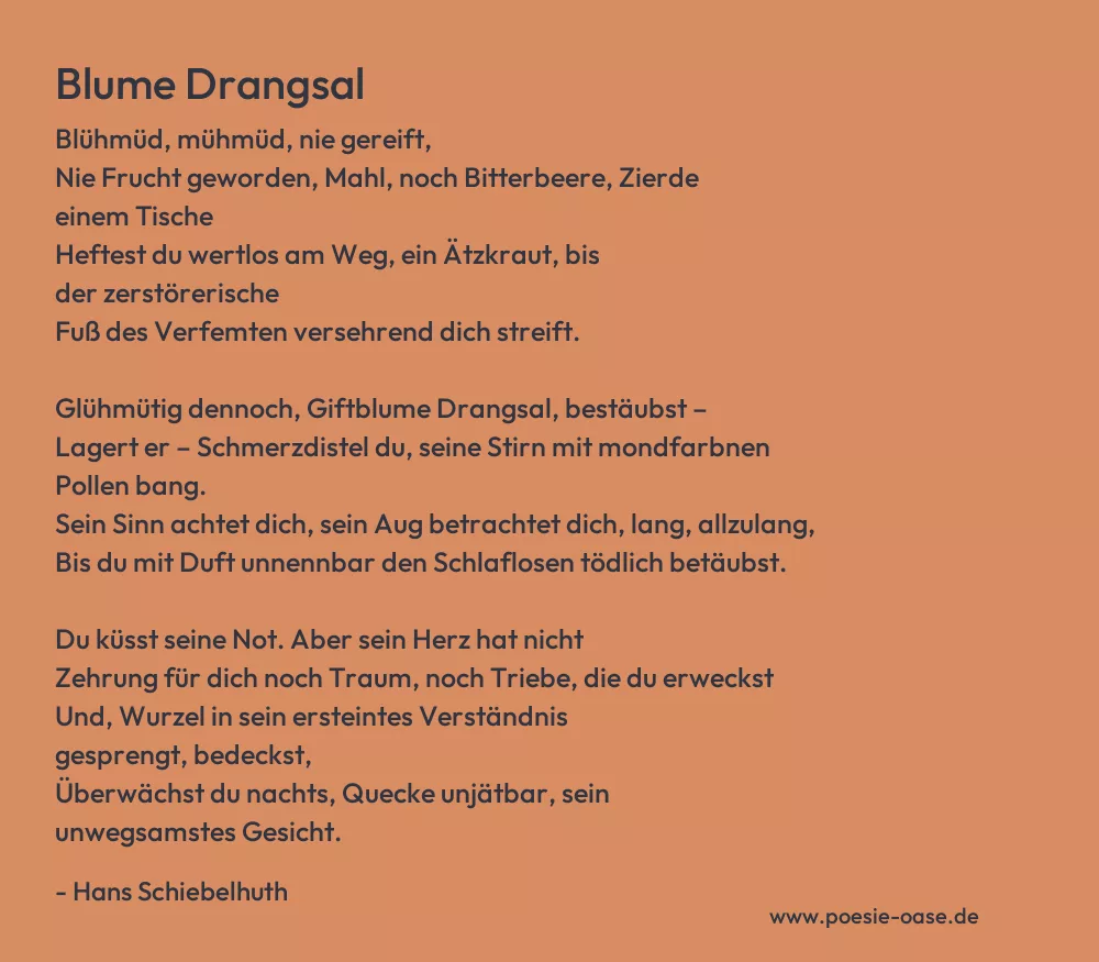 Gedicht: Blume Drangsal von Hans Schiebelhuth