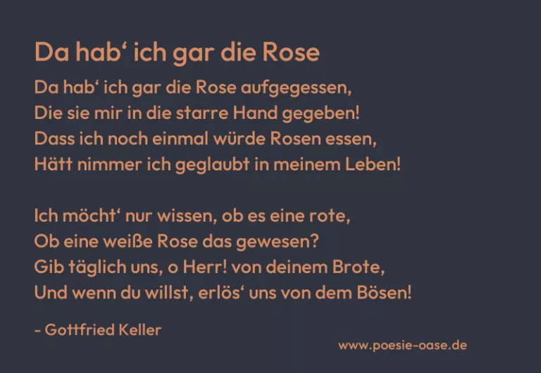 Da hab‘ ich gar die Rose