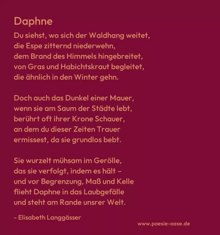 Daphne