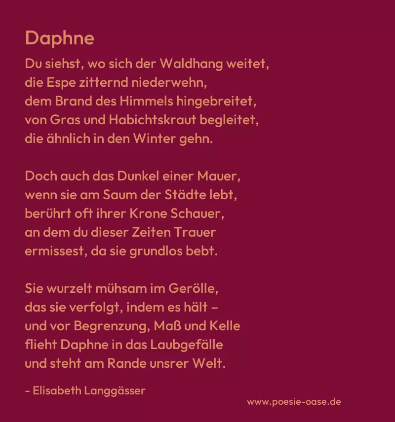 Gedicht: Daphne von Elisabeth Langgässer