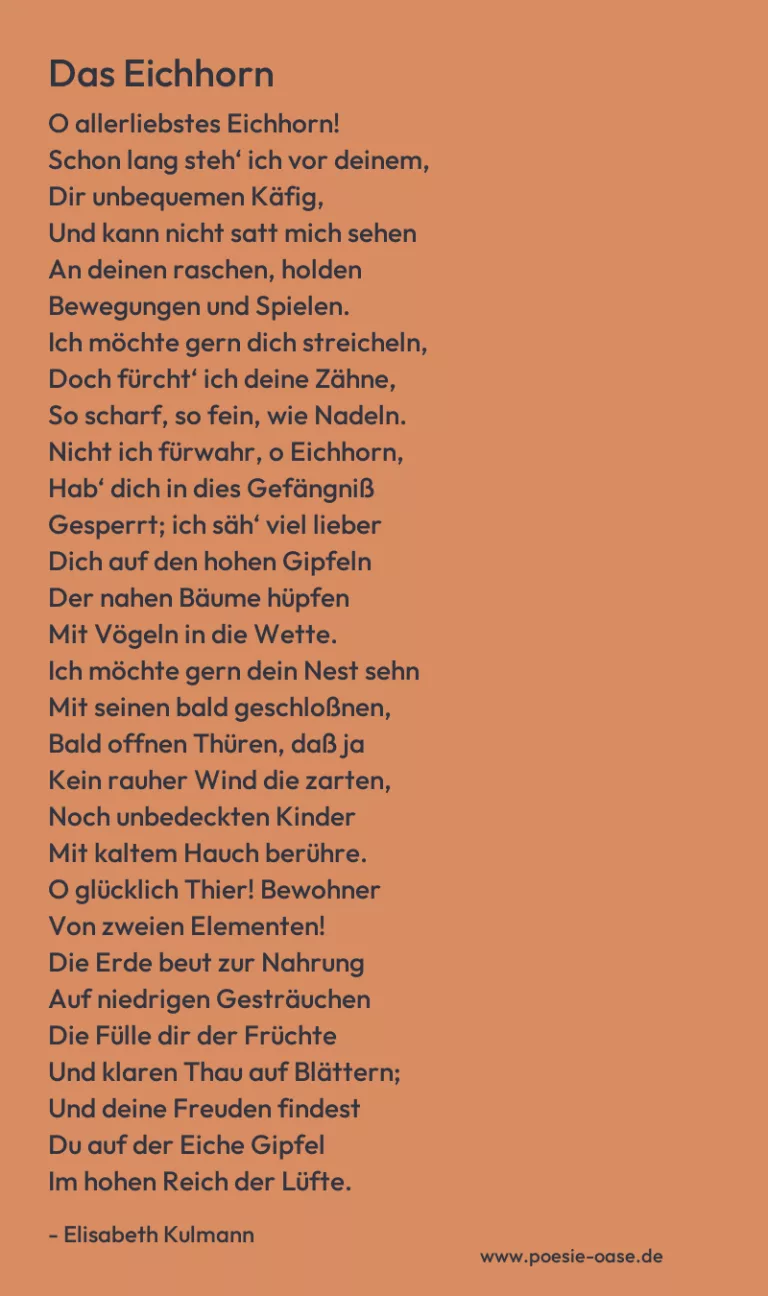 Das Eichhorn