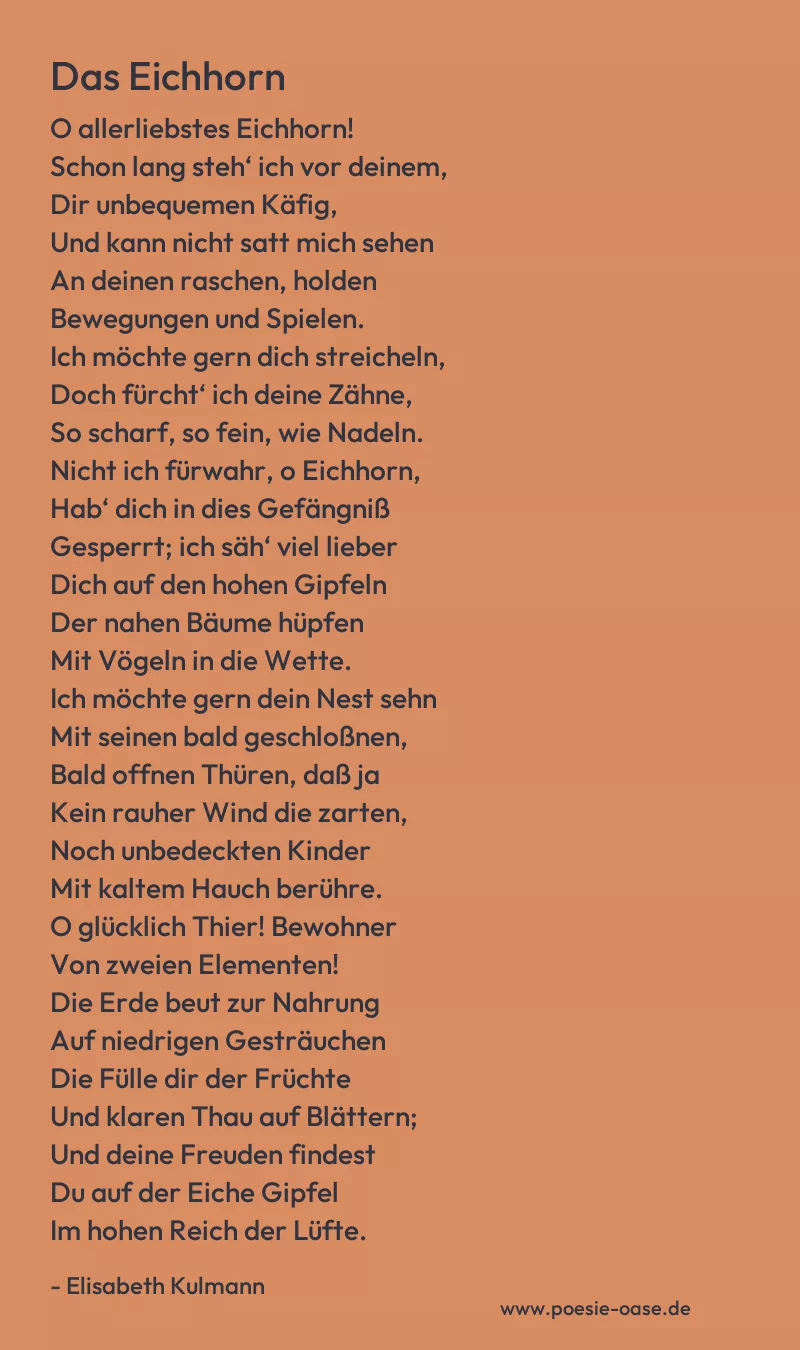 Gedicht: Das Eichhorn von Elisabeth Kulmann