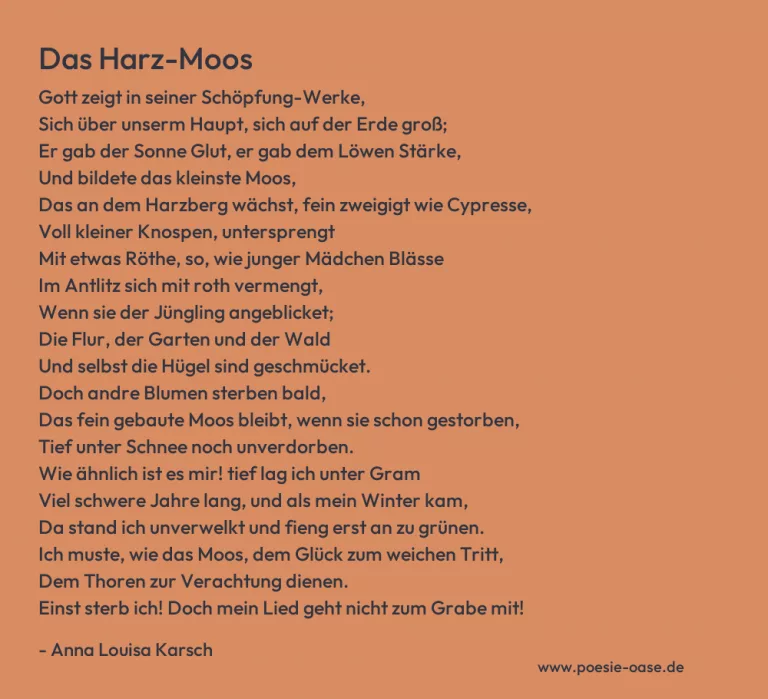 Das Harz-Moos
