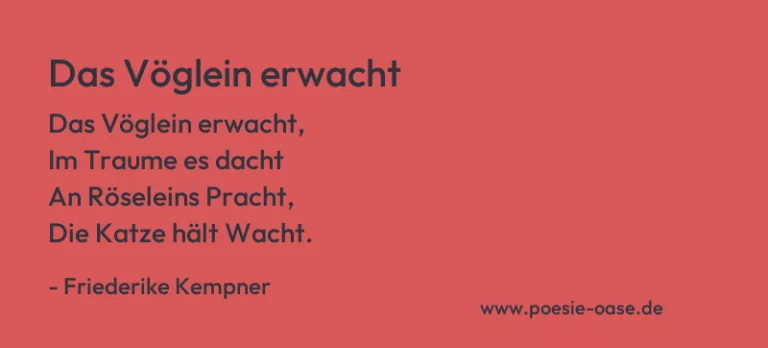 Das Vöglein erwacht