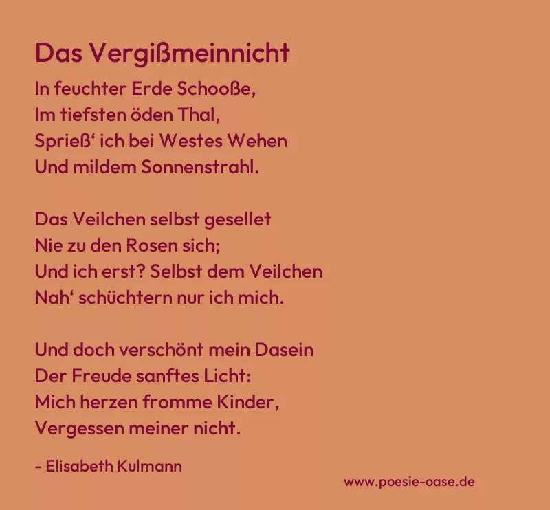 Gedicht: Das Vergißmeinnicht von Elisabeth Kulmann