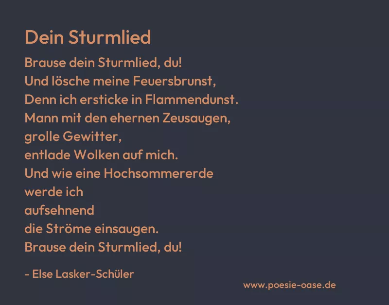 Gedicht: Dein Sturmlied von Else Lasker-Schüler