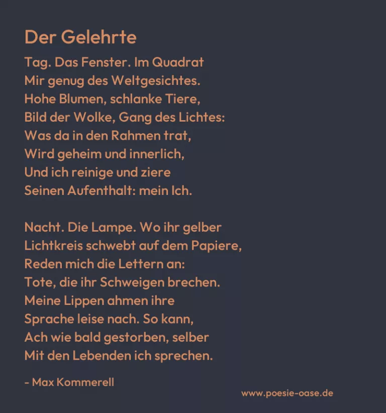 Der Gelehrte