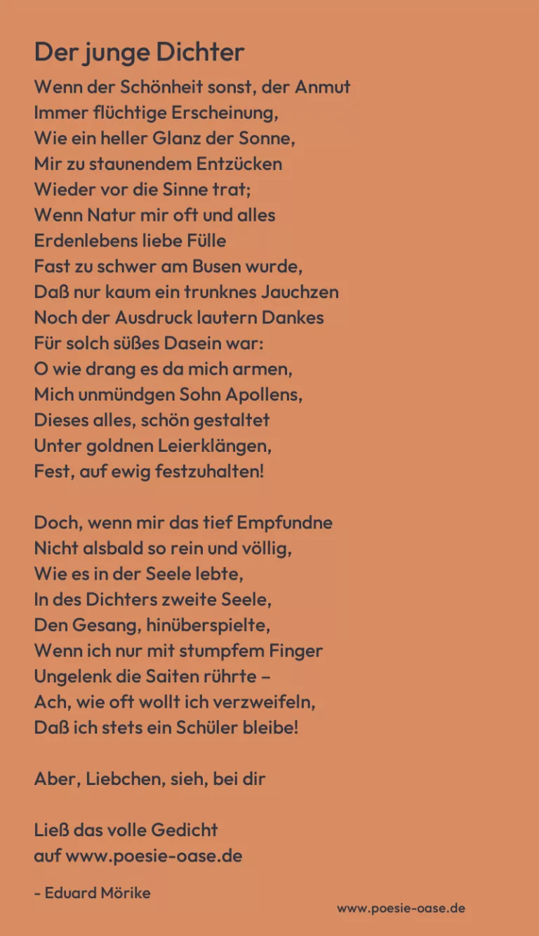 Der junge Dichter