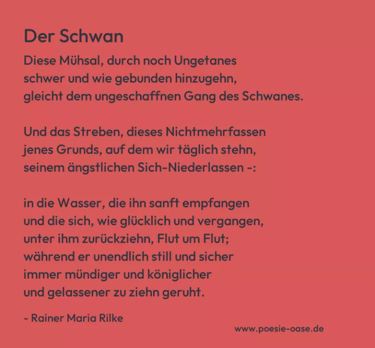 Der Schwan