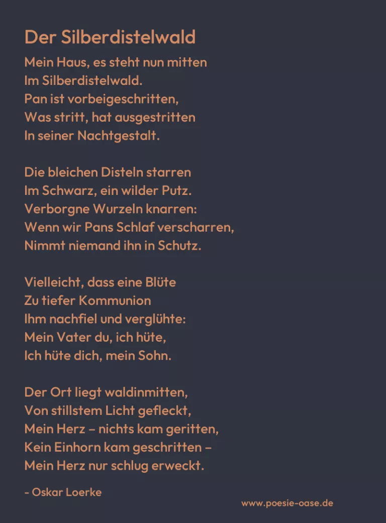 Der Silberdistelwald