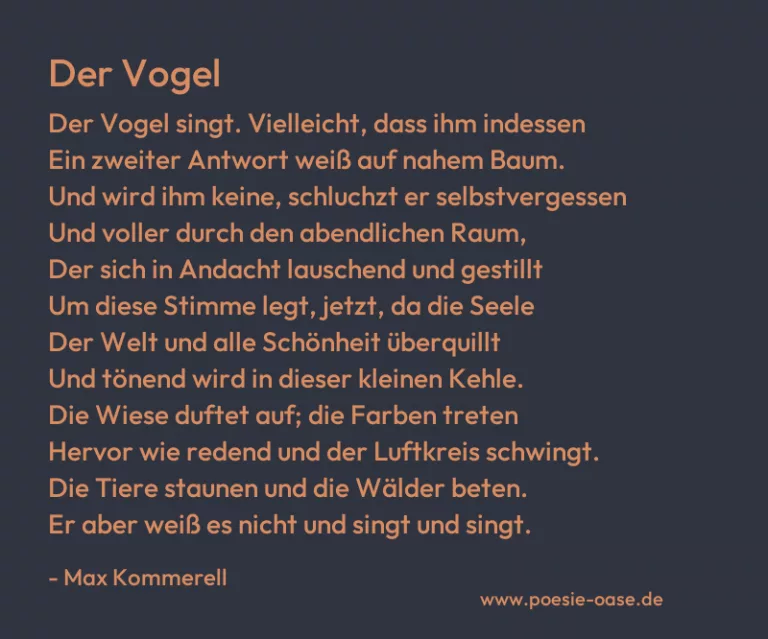 Der Vogel