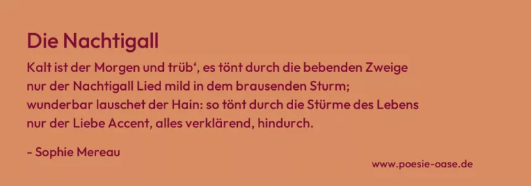 Die Nachtigall
