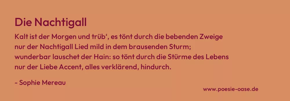 Gedicht: Die Nachtigall von Sophie Mereau