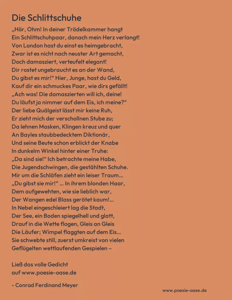 Die Schlittschuhe