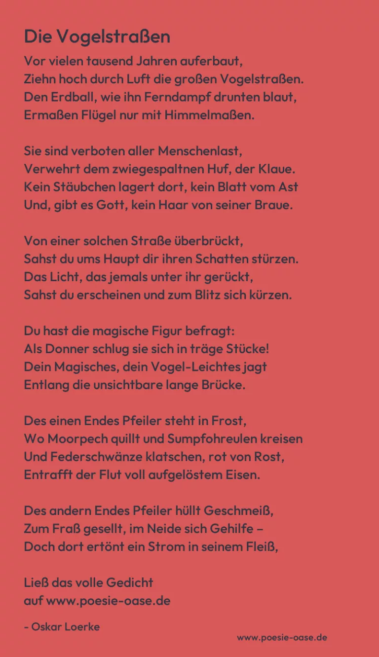 Die Vogelstraßen