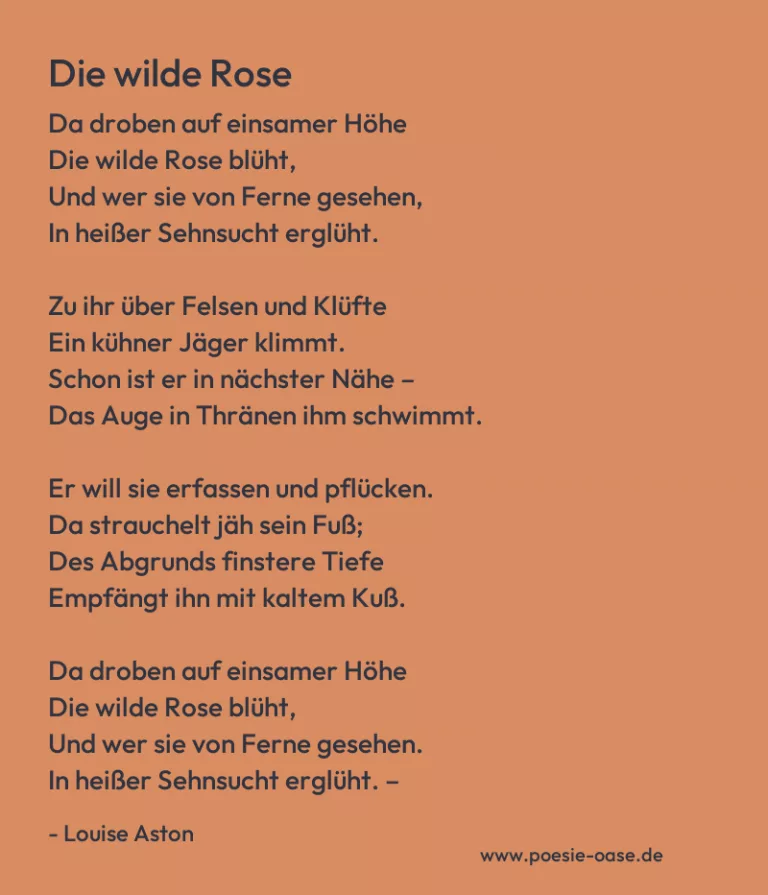Die wilde Rose