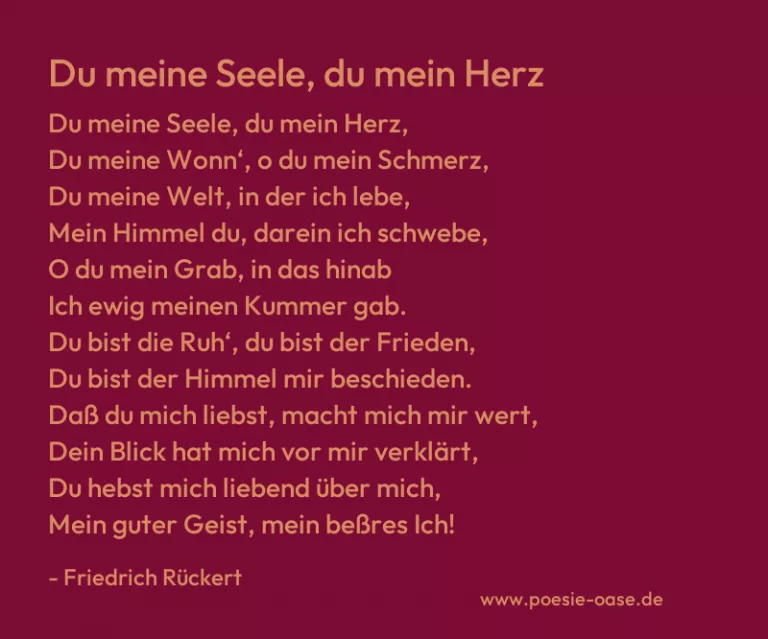 Du meine Seele, du mein Herz