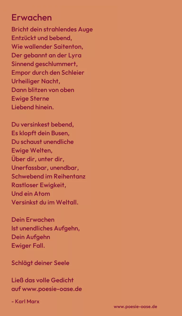 Erwachen