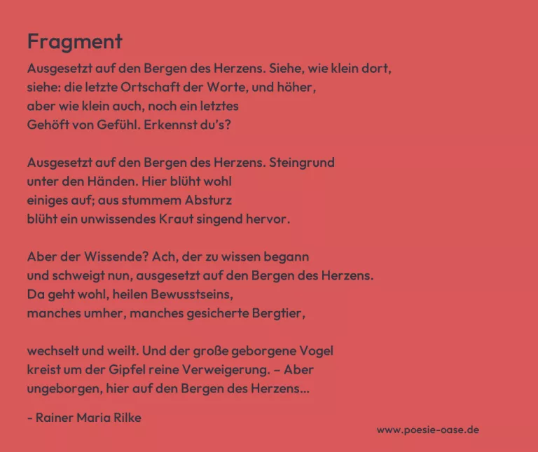 Fragment
