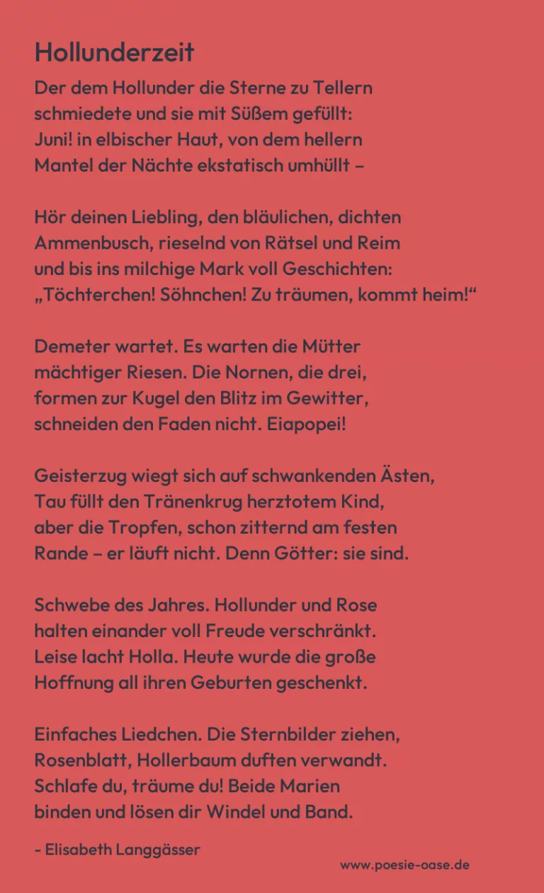 Hollunderzeit