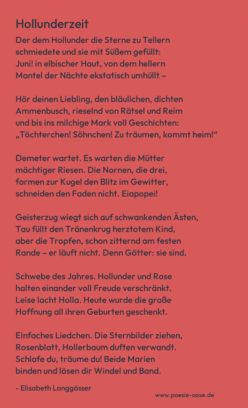 Gedicht: Hollunderzeit von Elisabeth Langgässer