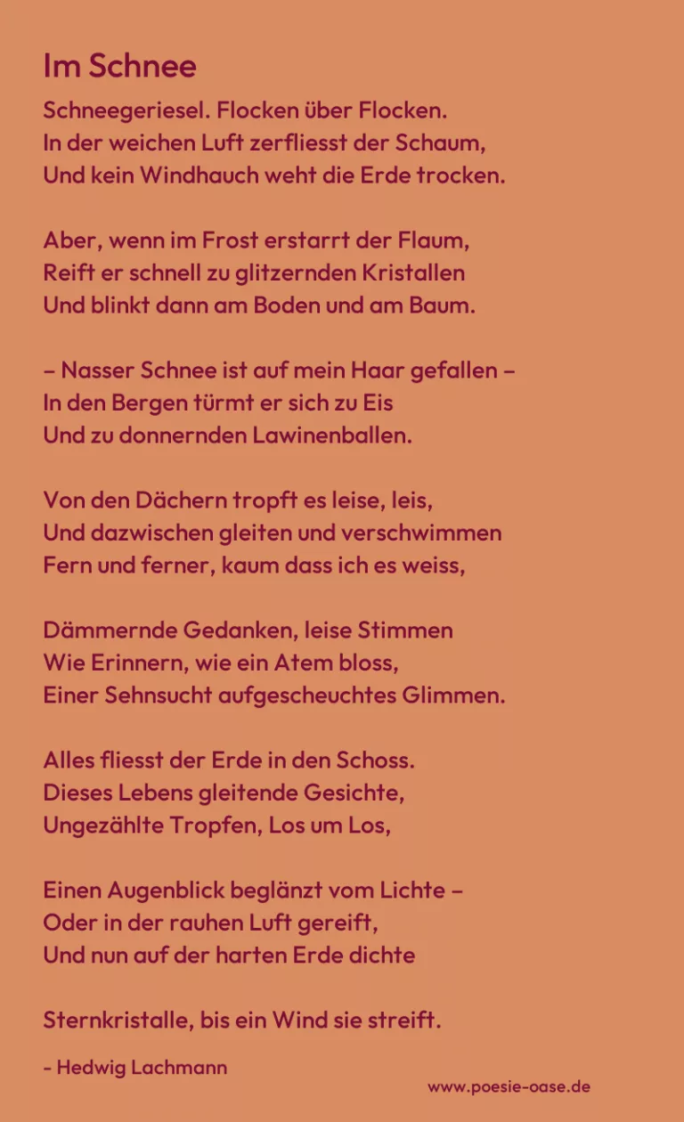Im Schnee