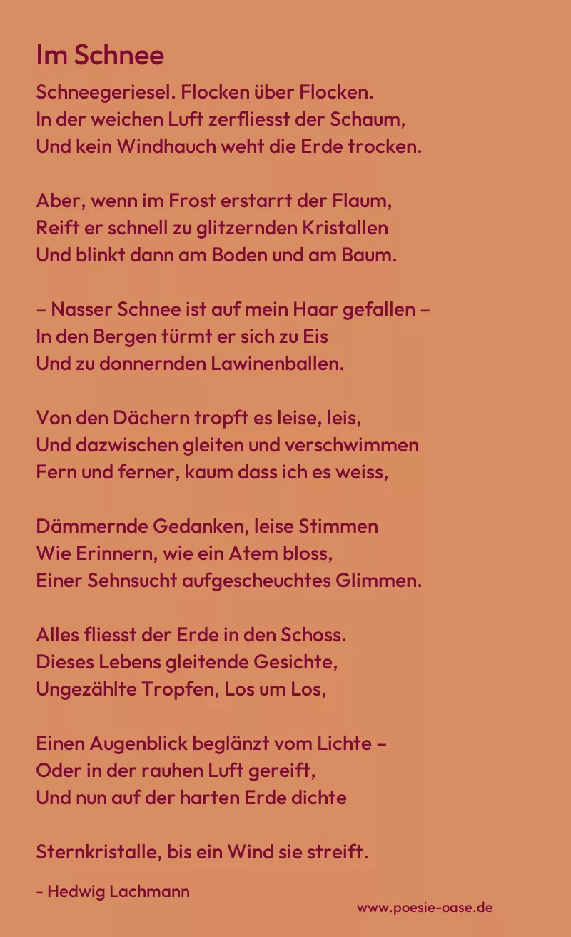 Gedicht: Im Schnee von Hedwig Lachmann