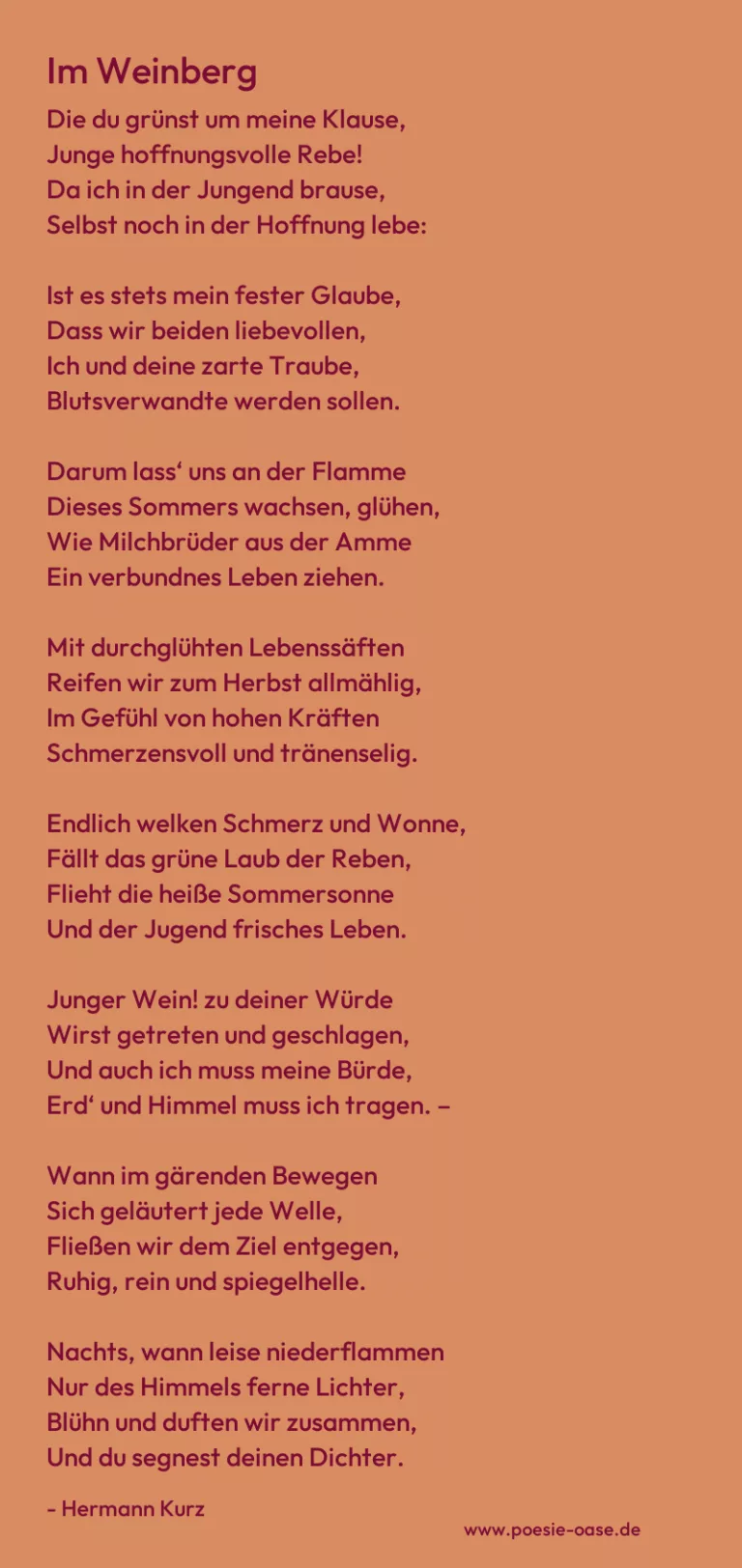 Im Weinberg
