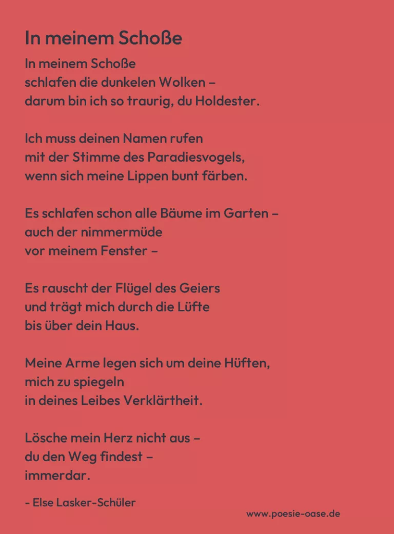 In meinem Schoße
