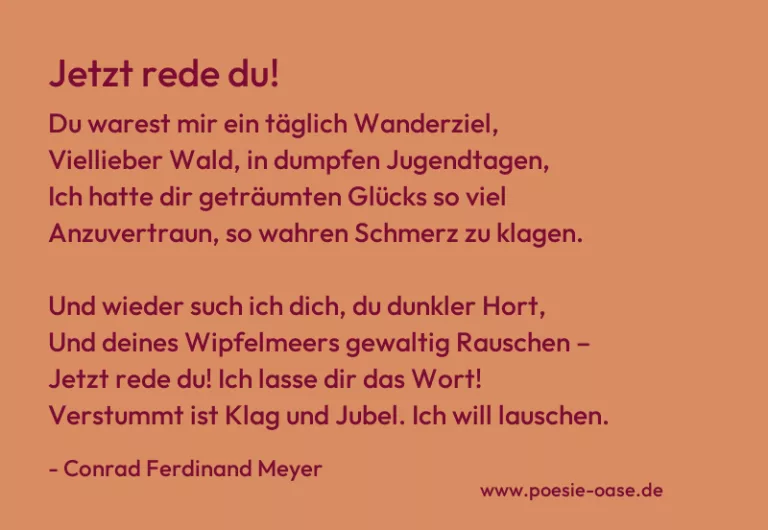 Jetzt rede du!