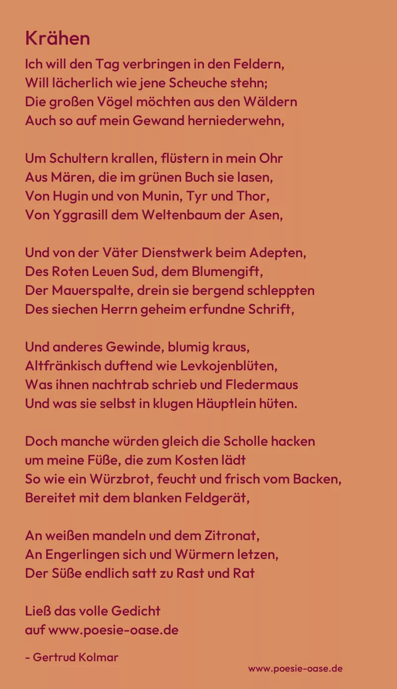 Gedicht: Krähen von Gertrud Kolmar