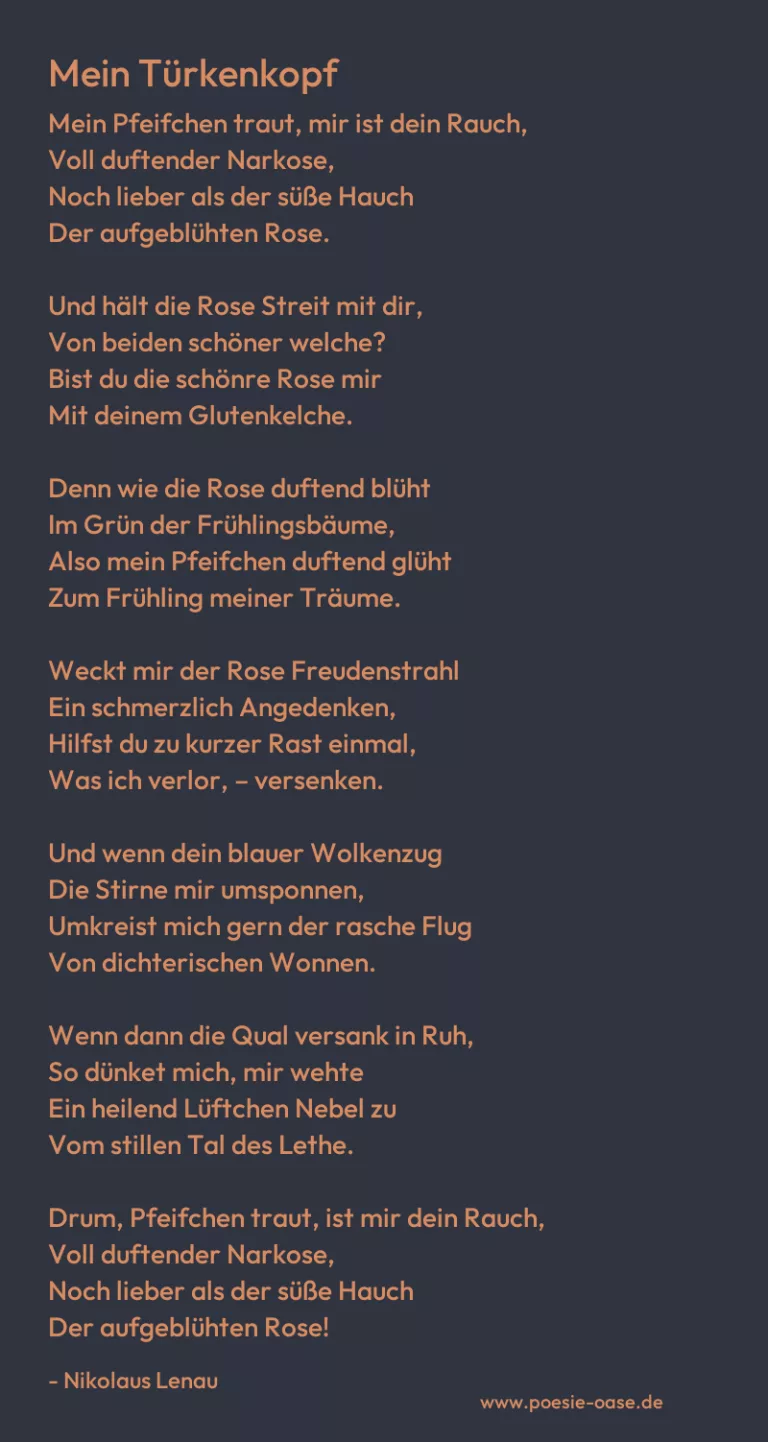 Mein Türkenkopf