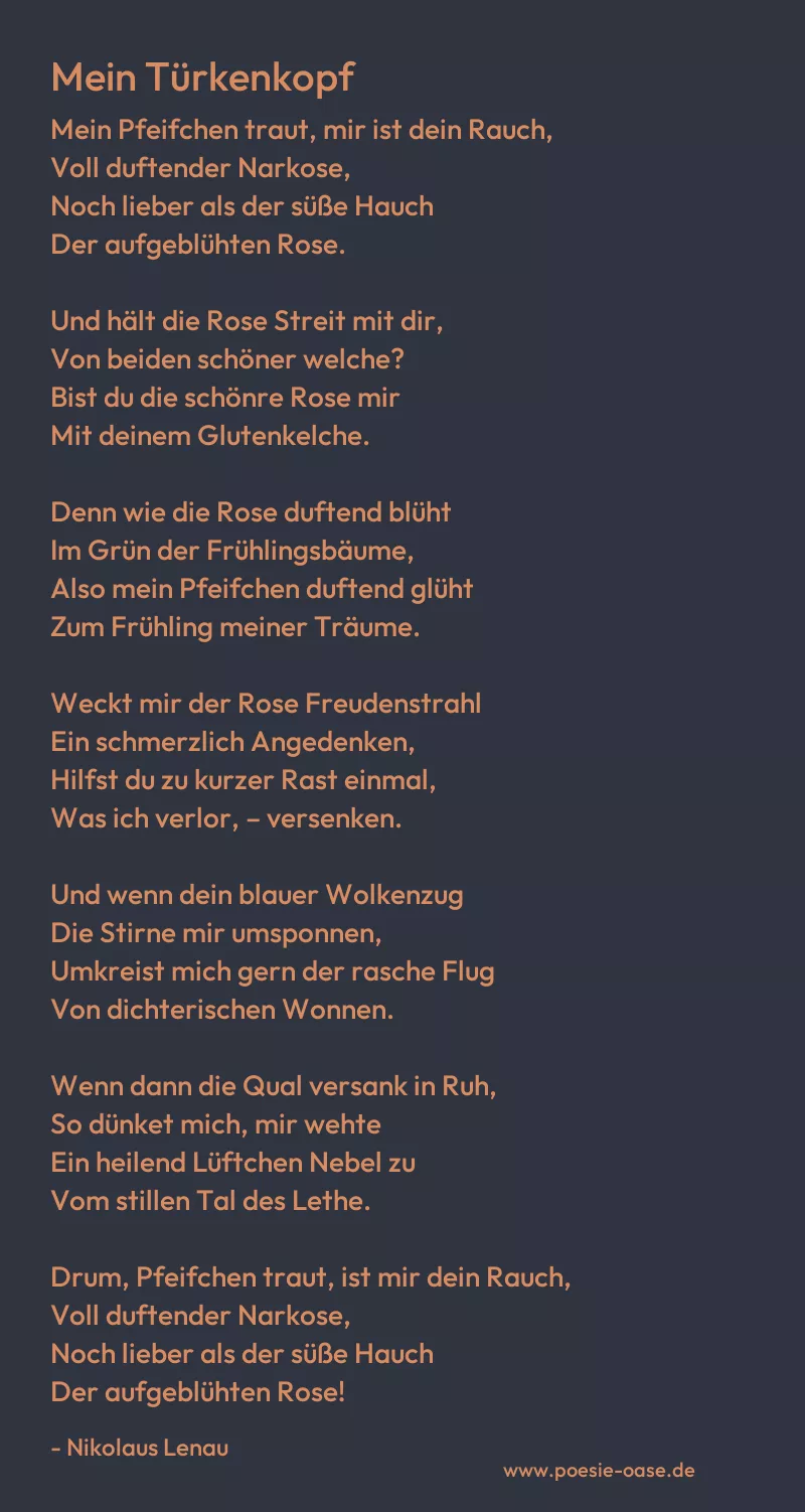 Gedicht: Mein Türkenkopf von Nikolaus Lenau