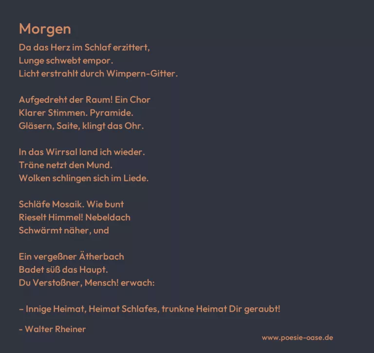 Morgen